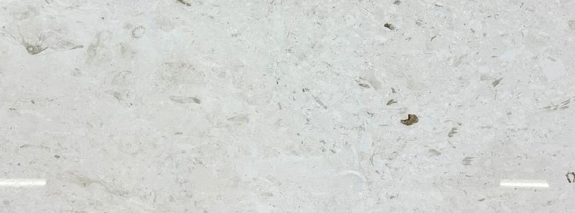 Shell White